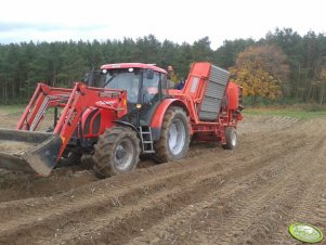 Zetor Forterra 115 + Grimme sl800