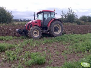 Zetor Forterra 12441 + Fortschritt