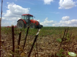 Zetor Forterra 12441 + gruber