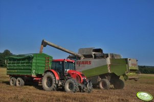 Zetor Forterra 12441 + Pronar 