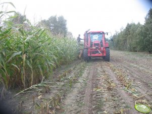 Zetor Forterra 9641 & Pottinger Mex III Rotation