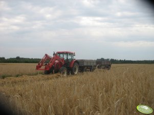 Zetor Forterra 9641 & przyczepy