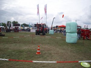 Zetor  i belki  