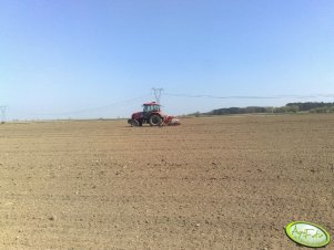 Zetor Proxima 6421 + siwnik do qq