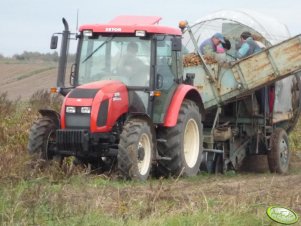 Zetor Proxima 7441 i Anna