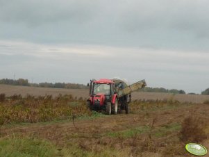 Zetor Proxima 7441 i Anna