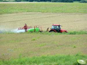 Zetor Proxima 7441 i Moskit