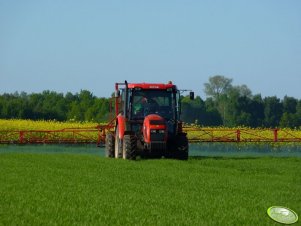 Zetor Proxima 7441 i Moskit