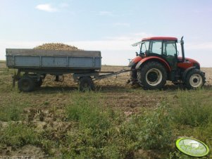 Zetor Proxima 7441 + Przyczepa