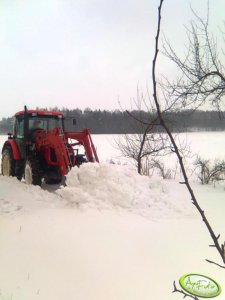 Zetor Proxima 7441