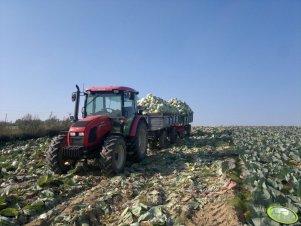 Zetor Proxima 8441 + Autosan D50 i Sanok D50