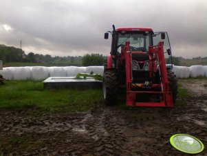 Zetor Proxima 8441 & Dyskówka Claas