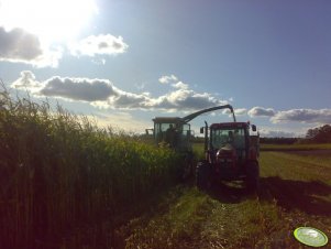 Zetor Proxima 8441 i Class Jaguar 690