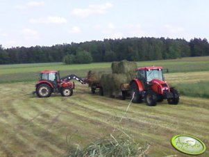 Zetor Proxima 8441 i Forterra 115