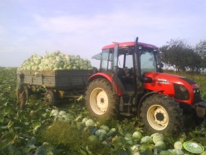 Zetor Proxima 8441 + przyczepa