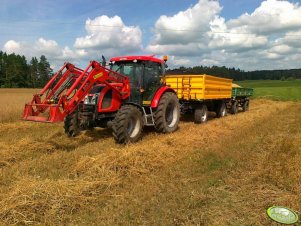 Zetor Proxima 8441 & Wielton 8t i D47