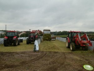 Zetor Proxima 8441 x2, Case 5130 oraz Jumz 