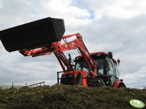 Zetor Proxima 8441