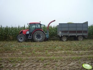 Zetor Proxima 8441