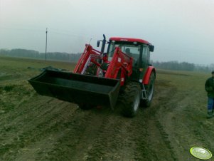 Zetor Proxima 8441