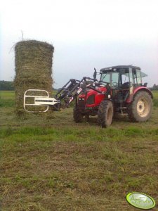 Zetor Proxima 8441