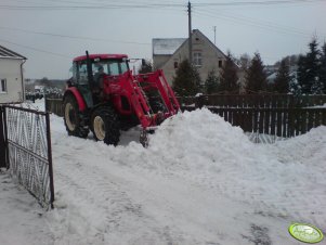 Zetor Proxima 8441