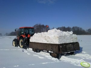 Zetor Proxima 8441