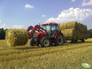 Zetor Proxima 8441