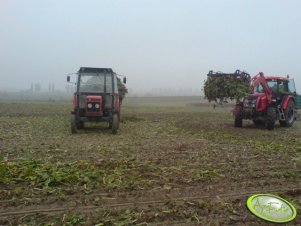 Zetor Proxima Power 95