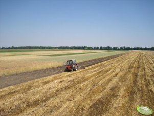 Zetor7211 kontra orka 