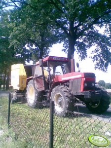 Zetor