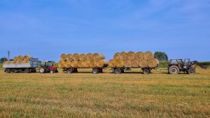 Zetor 8045 & 7011 + przyczepy