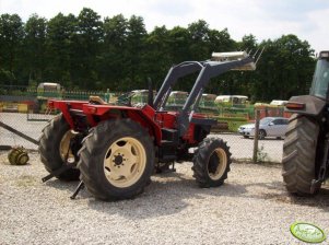 Zetor