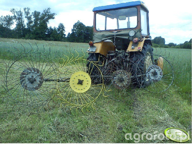 Juda etuk ayollar va buvilarning porno videolari