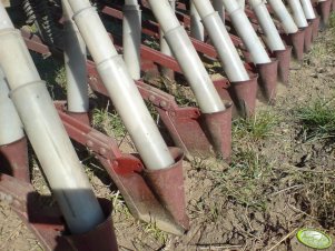 Zwiększone rostaw redlic.