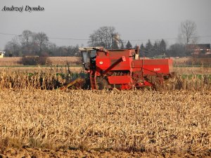 Bizon Rekord Z058 & JD1450CWS