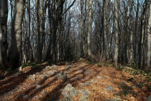 Bieszczady