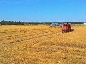 Bizon Z056 & Fendt 5220E