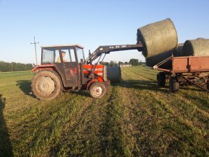 Massey ferguson 255