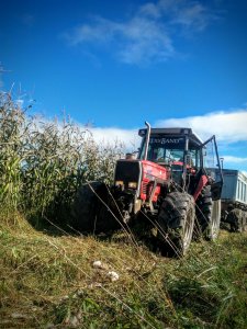 Massey Ferguson 3075 & Pottinger Mex II gt