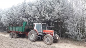 Massey Ferguson 3080 & Fortschritt