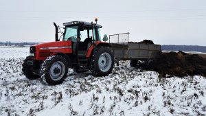 Massey Ferguson 6260