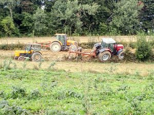 Massey Ferguson 8120