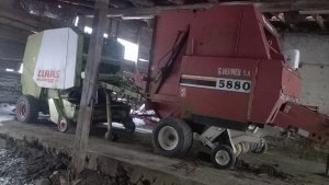 Prasa Claas Rollant 66 i Fiatagri 5880 New Holland