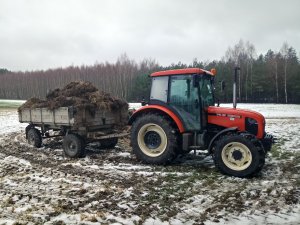 Zetor 7341 przyczepa rosyjska PSE 12.5 B