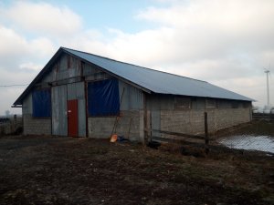 Budynek na bydło