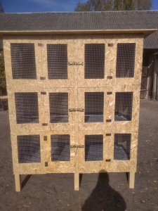 Klatka dla królików