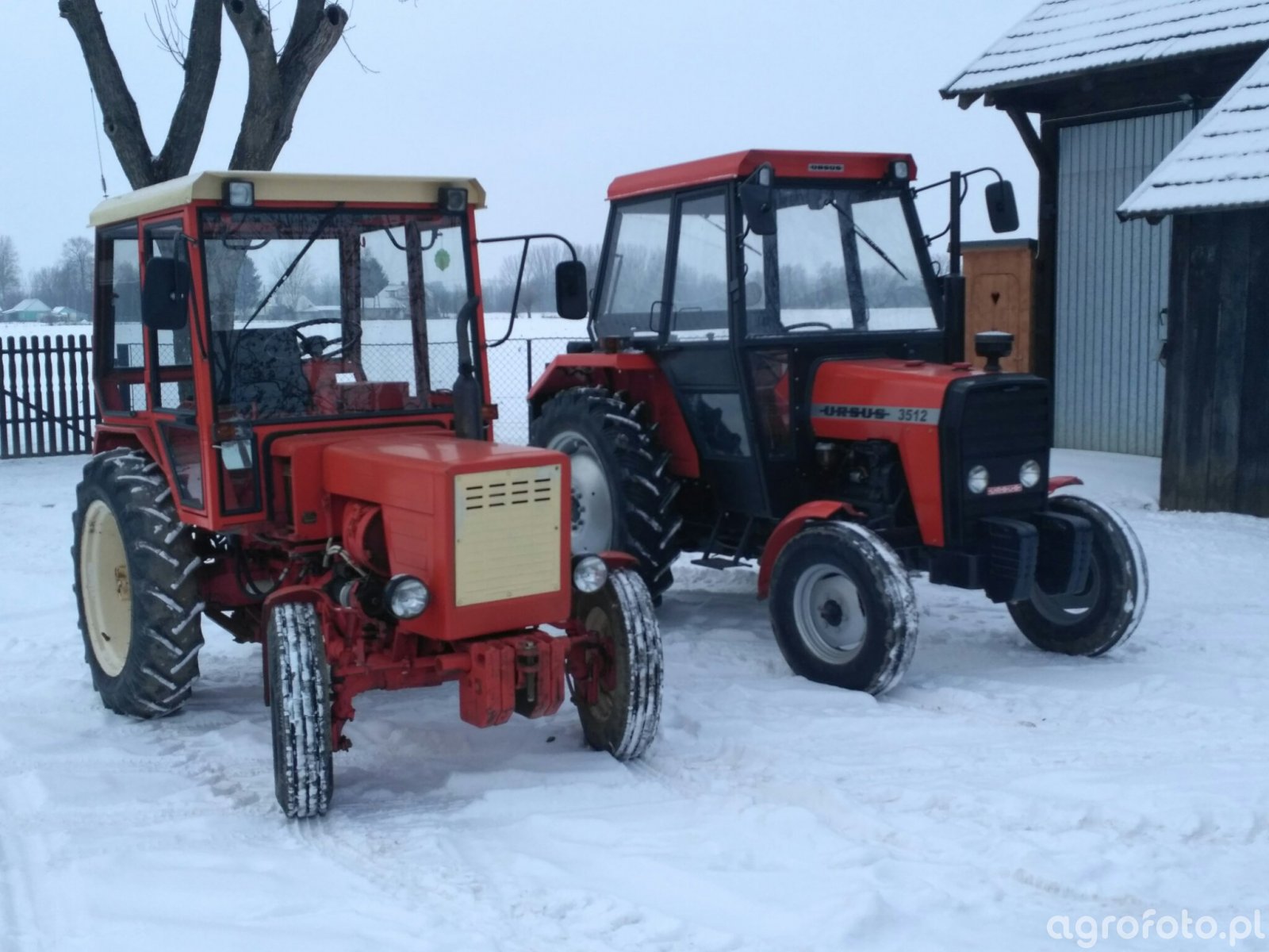 Zdjęcie Traktor T25 Ursus 3512 745122 Galeria Rolnicza Agrofoto