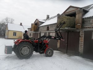 Widły do bel