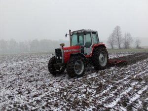 Massey Ferguson + kultywator